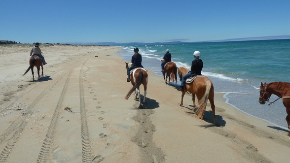 Monterey Bay Horseback Riding - California Road Trip