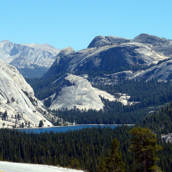 Get Up & Go - 6 Road Trip Ideas | Tuolumne Meadows Drive Yosemite
