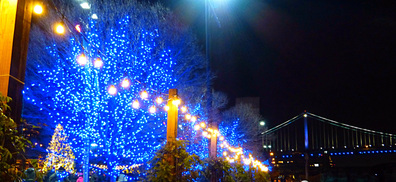 The twinkling lights of the Blue Cross RiverRink Winterfest in Philadelphia.