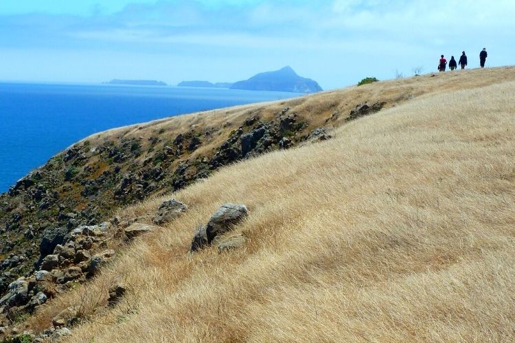 If you are visiting California, take a day trip to Channel Islands National Park.