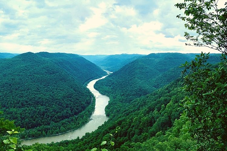 Scenic View from New River Gorge National Park 