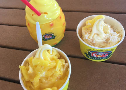 Dole Whip is the perfect treat on a hot summer day at the Dole Plantation, Oahu. 