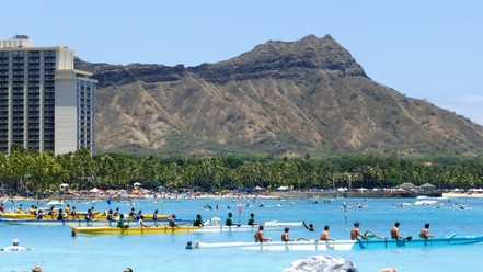 Canoe races on the beach in Waikiki. 
