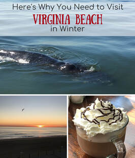 Things To Do In Virginia Beach During Winter لم يسبق له مثيل الصور
