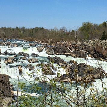 Love the view at Great Falls Park after a rain! It's one of 4 of our favorite National Park units in the DC area. 