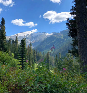 View from the trail, North Cascades National Park | 5 Tested Tips for an Awesome Backpacking Adventure