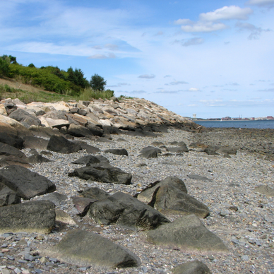 Hidden Gem - take the ferry to Boston Harbor Islands National Park.