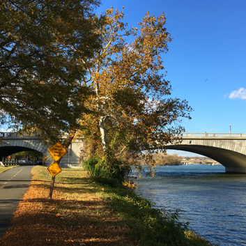  5 ways to celebrate fall in the Mid-Atlantic region. My favorite is to view colorful leaves while ride biking along one of several trails in the DC metro area. 