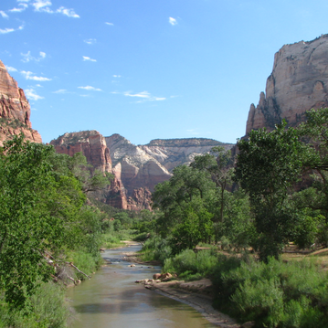 Walking along the Virgin River in Zion National Park. Learn more about visiting Bryce, Arches & Zion on the blog.