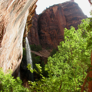 View from the Emerald Pools Trail in Zion National Park. Learn more about visiting Bryce, Arches & Zion on the blog.