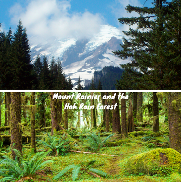Mount Rainier and the Hoh Rain Forest are just two of the special places we loved to visit in the Pacific Northwest. 