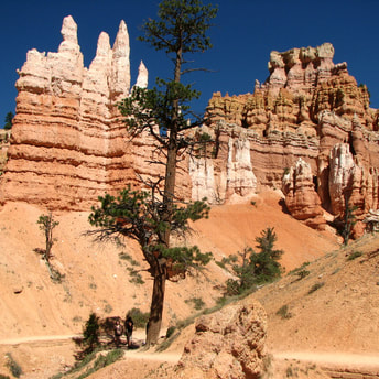 5 Amazing Reasons to Visit a National Park - Bryce Canyon