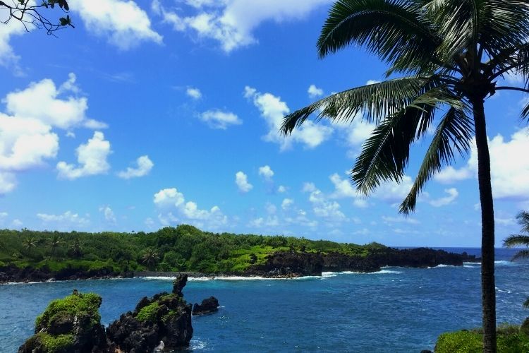 Don't miss these 8 family tested activities on the beautiful island of Maui!