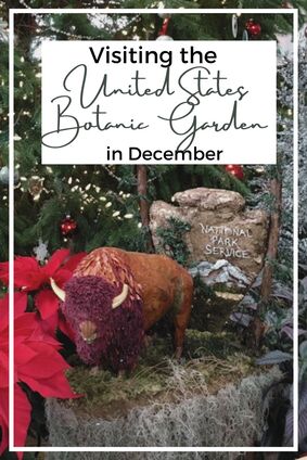 December is the perfect time to visit the United States Botanic Garden in DC. 