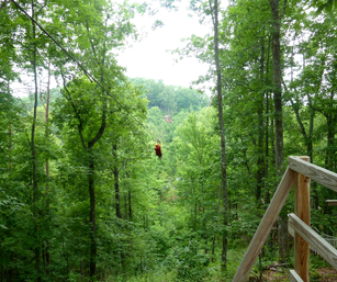 8 Cool Things for Teens in Pigeon Forge - zip lining through the trees!