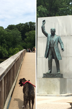 4 Dog Friendly Adventures in DC, including hiking on Theodore Roosevelt Island. 