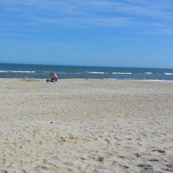 Visiting Family Friendly Chincoteague Island In Virginia The Beach At Chincoteague Island Virginia In Spring A Great Time To Visit