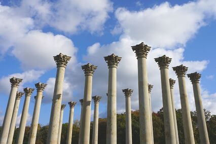 The National Capitol Columns at the US National Arboretum were once part of the US Capitol building in Washington, DC. 
