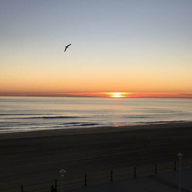 Beautiful winter sunrise in Virginia Beach. Read more on the blog as to why you should visit Virginia Beach during the winter. 