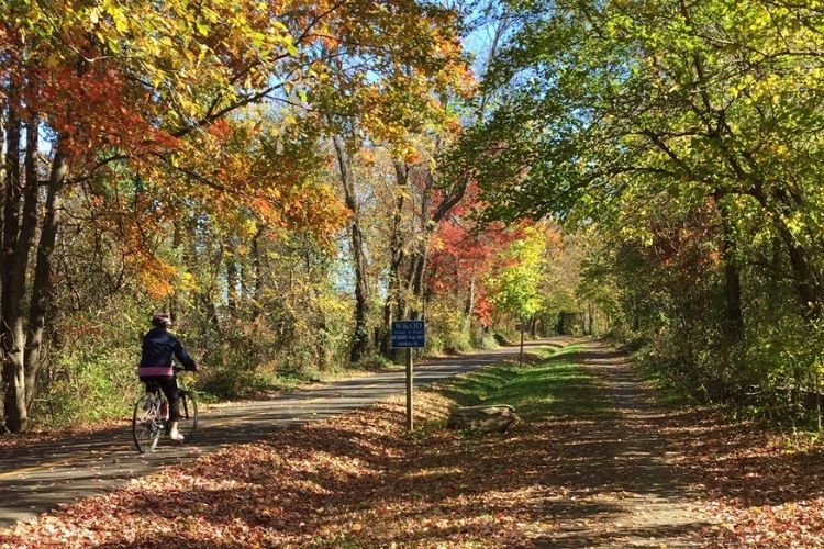 From a Renaissance Festival to leaf viewing by bike, check out these 5 ways to celebrate fall in the Mid-Atlantic Region. 