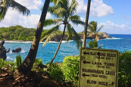 The views at Waianapanapa State Wayside Park are not to be missed on the Road to Hana!
