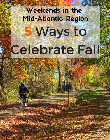 From a Renaissance Festival to leaf viewing by bike, check out these 5 ways to celebrate fall in the Mid-Atlantic Region. 