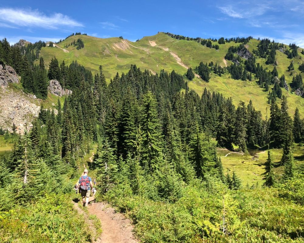 4 Great Day Hikes in the Seattle Area | Green Mountain