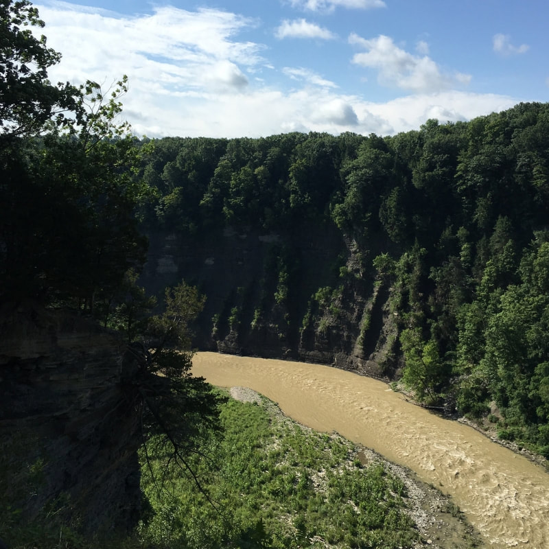 Viewing the gorge after a heavy rain at scenic Letchworth State Park in New York. A great stop on a road trip to Niagara Falls.