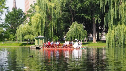 Top 3 Things to Do in Cities Around the US