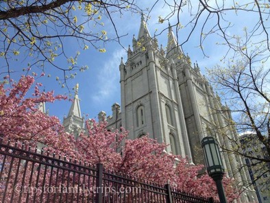 Top 3 Things to Do in Cities Around the US