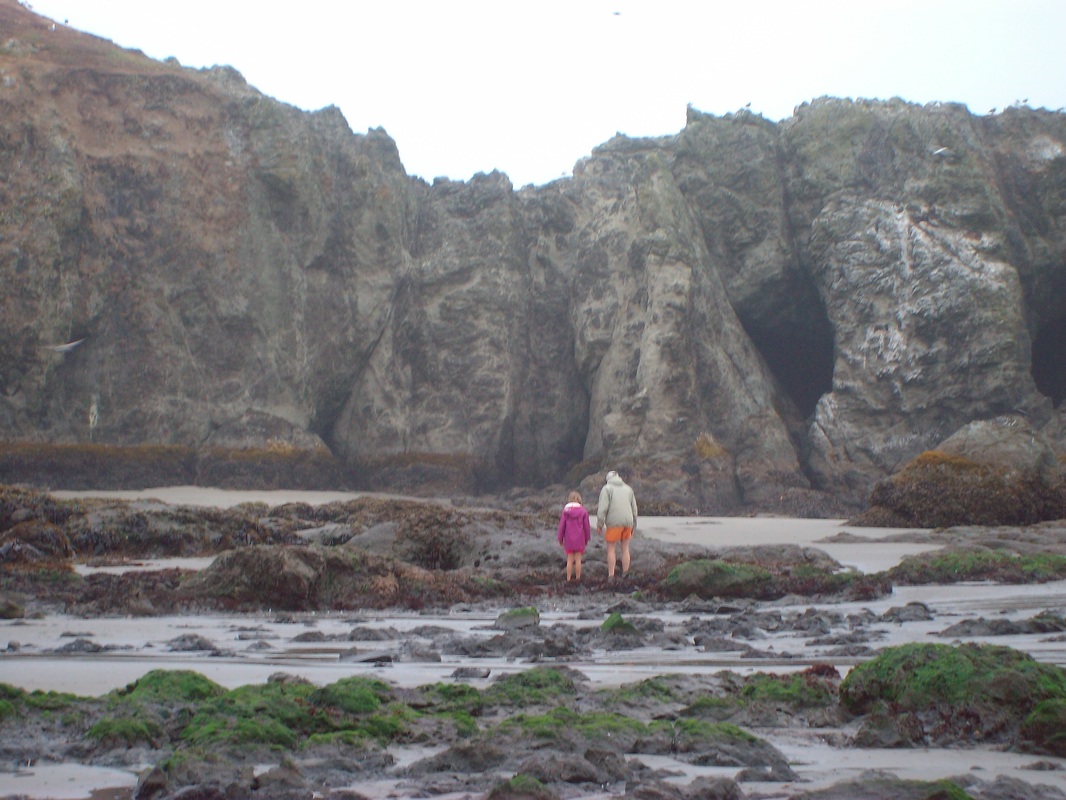 The sea life at low tide in Bandon, Oregon was amazing.
