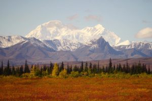 Denali NP - 5 amazing reasons to visit a national park