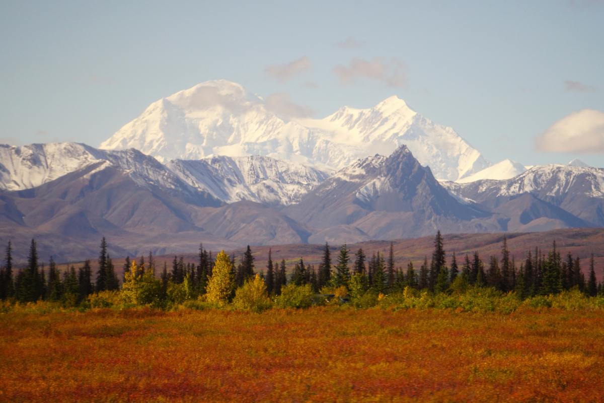 Denali NP - 5 amazing reasons to visit a national park
