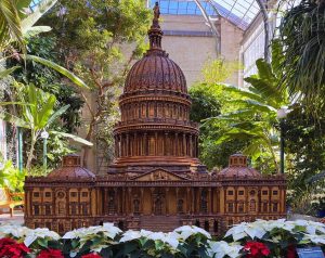 6 Ways to Experience the Holidays in DC