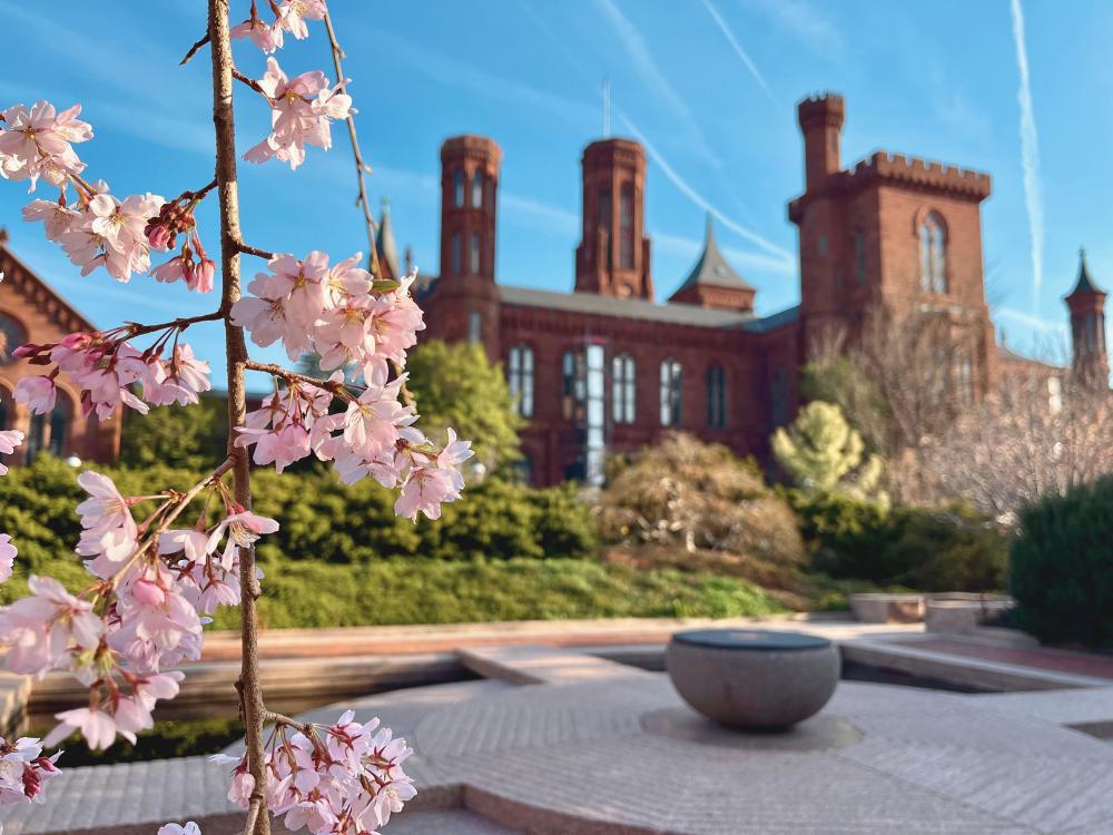 Spring Enid A Haupt Garden