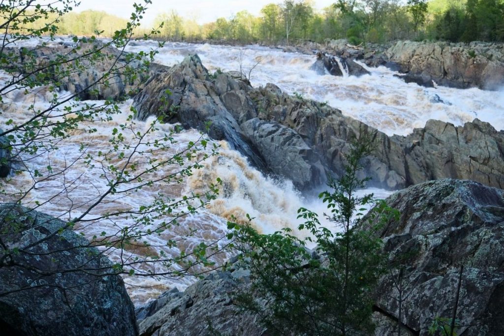 Experience Nature's Beauty at Virginia's Great Falls Park