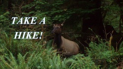 A New Way to Hike