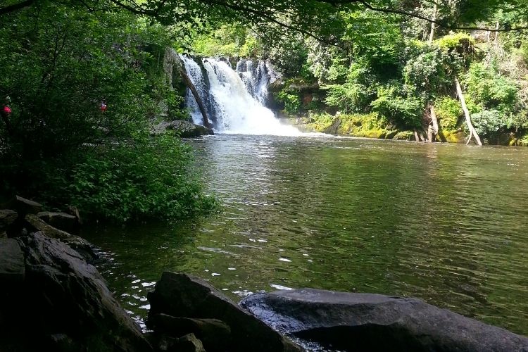 waterfall at Great Smoky Mountains National Park