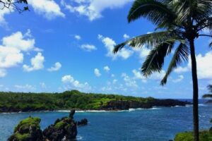 8 Family Tested Activities You Need to Do on Maui