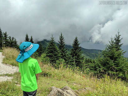 Mount Mitchell SP