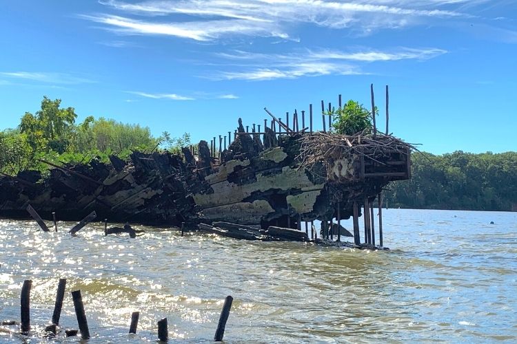 Mallows Bay