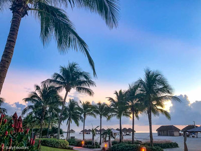 Marco island