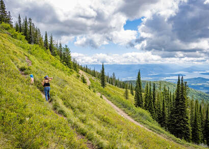Schweitzer mountain