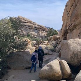 Cool Hikes & Other Things to Do with 2 days in Joshua Tree National Park