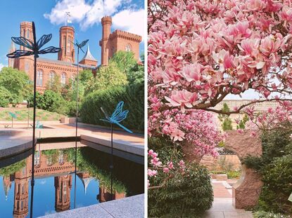 garden views Enid A Haupt Garden from Take a Stroll Through 5 Beautiful Gardens in the Washington DC Area