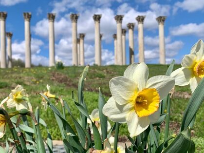National Capitol Columns Take a Stroll Through 5 Beautiful Gardens in the Washington DC Area