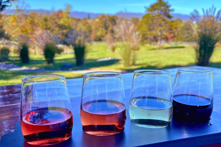 Wine tasting - Come Along on an E-Bike Adventure in Virginia's Shenandoah Valley