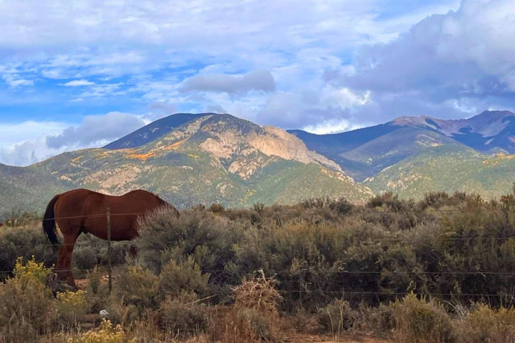 Taos views