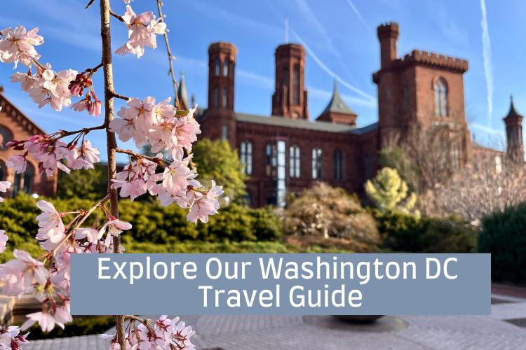 Cherry blossoms in front of the Smithsonian Castle - Guide to Visiting Washington DC